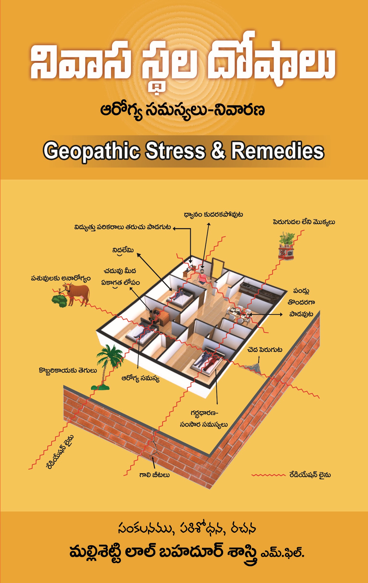 Geopathic Stress & Remedies Telugu